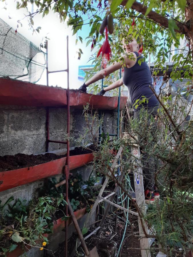 Airesbuenos Hostel Y Permacultura Valdivia Ngoại thất bức ảnh
