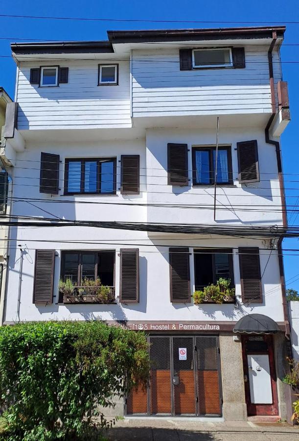 Airesbuenos Hostel Y Permacultura Valdivia Ngoại thất bức ảnh